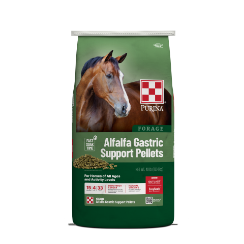 Green Alfalfa Gastric Support feed bag with horse front facing