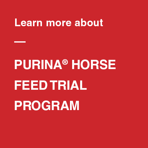 Link to sign up for the Purina 30 Day Horse Feed Trial
