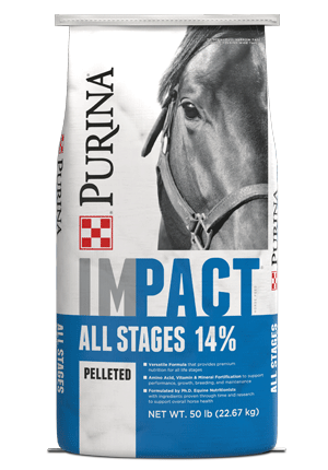 Impact All Stages 14% horse feed front facing bag