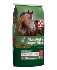 Green Alfalfa Gastric Support feed bag with horse left facing
