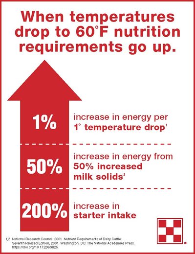 Infographic showing impact of cold weather on dairy calves.