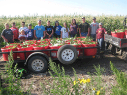 Rivinius FFA Corn Patch