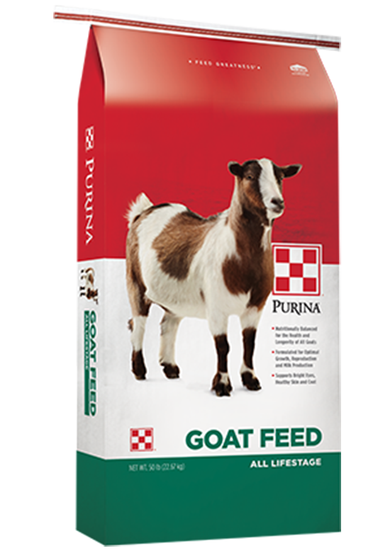 Purina life discount