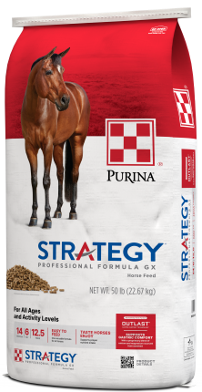 Image of Strategy® Professional Formula GX horse feed bag right facing