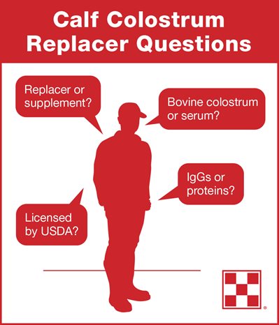 Here are four Questions to Ask about Calf Colostrum Replacer.
