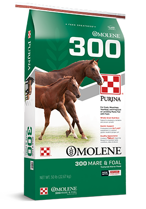 Image of Omolene #300® Growth horse feed bag