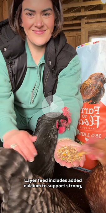 Image of woman with feed in hand feeding chicken