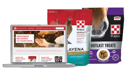 Purina website 2025