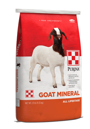 Purina® Goat Mineral is a uniquely formulated goat supplement, rich in nutrients