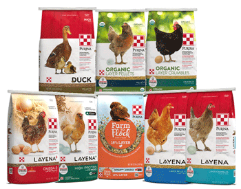 Purina Flock complete layer feed packages