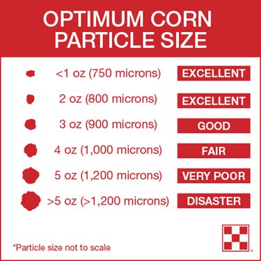 Optimum corn particle size from excellent to disaster.