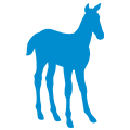 Foal icon