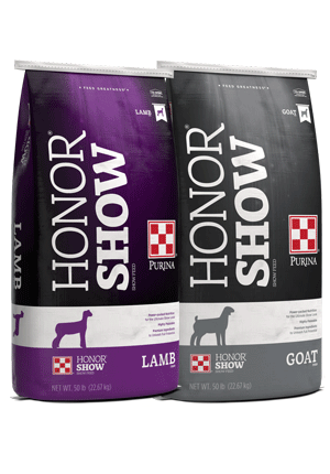 Image of Honor Show gray and white and purple and white show feed bags