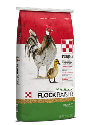 Purina® Flock Raiser®
