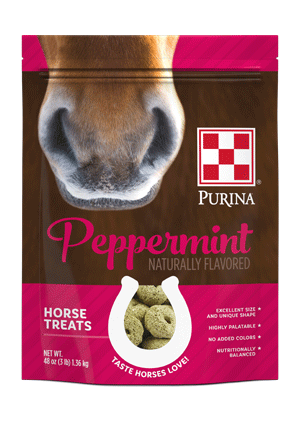 Image of front of Pepperment Flavored Horse Treats package