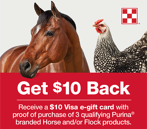 Image of horse and chicken with $10 rebate