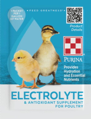 Image of Purina Chick Electrolyte 
