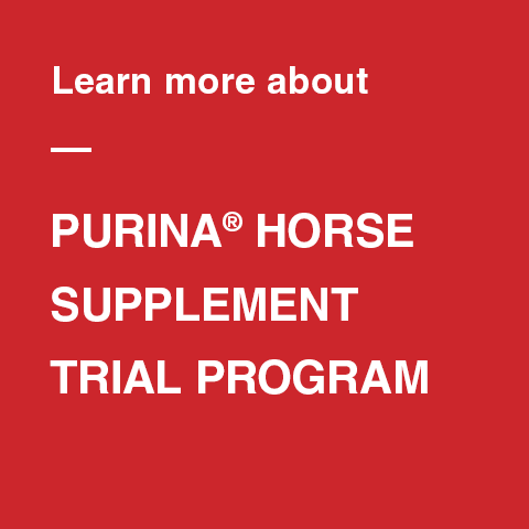 Red tile link to sign up page for horse supplement trial