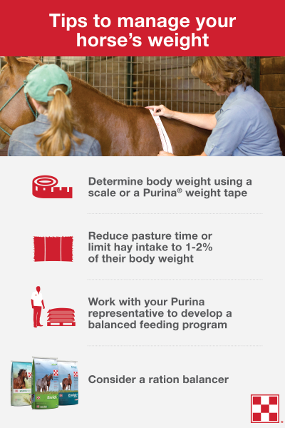Tips on managing a horses weight