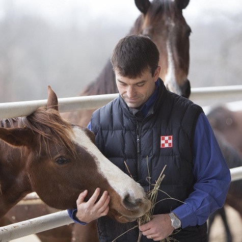 image of Purina expert Mike Jerina feeding a horse hay
