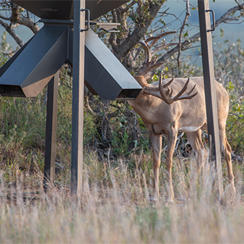 image of pelleted deer feed in a feeder