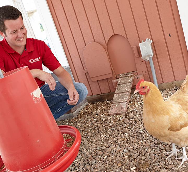 Purina AboutUs PANC Chicken Coop Image