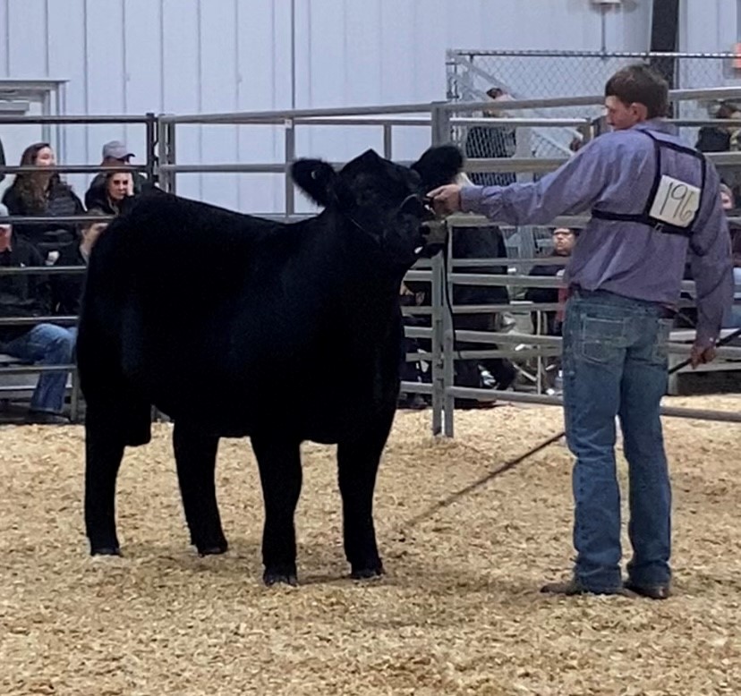 Export Winners Filament