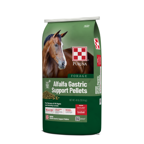Green Alfalfa Gastric Support feed bag with horse right facing