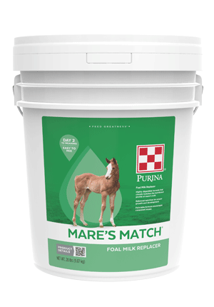 Image of Mare's Match bucket