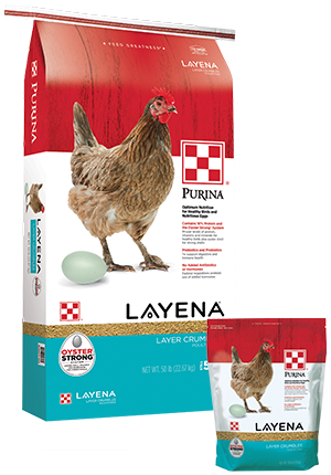  Layena® Layer Feed Crumbles in 10lb and 50lb packages