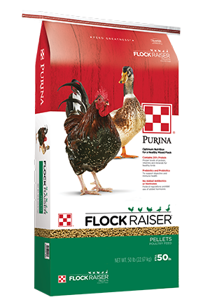 image of Purina® Flock Raiser® Pellets bag