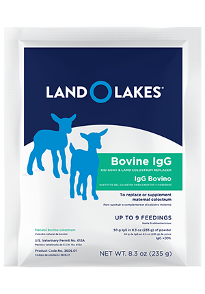 Colostrum replacement for kid goats and lambs