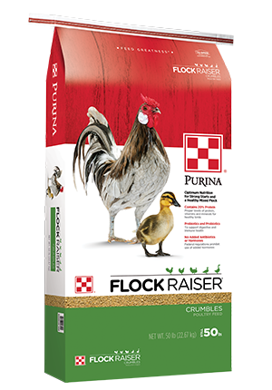Purina® Flock Raiser® Medicated poultry feed