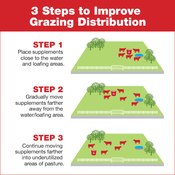 image of guide to improve cattle grazing distribution
