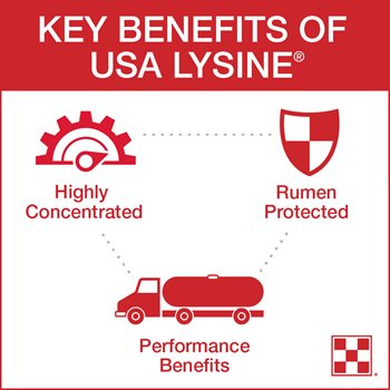 USA Lysine<sup>®</sup> offers a highly concentrated, rumen-protected lysine source with performance benefits.