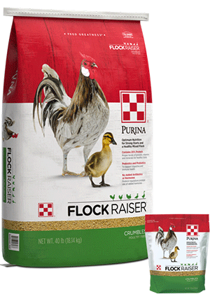Image of Purina® Flock Raiser® Crumbles poultry feed