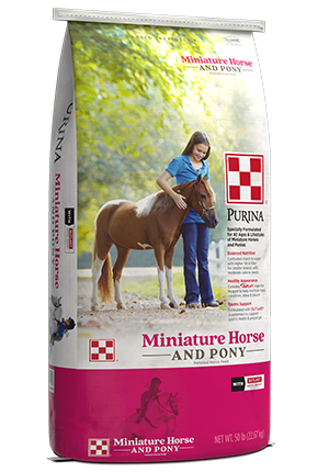 Image of Miniature Horse and Pony feed bags