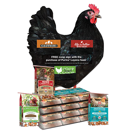 image of Purina® FLOCK-TOBER™ promotion display