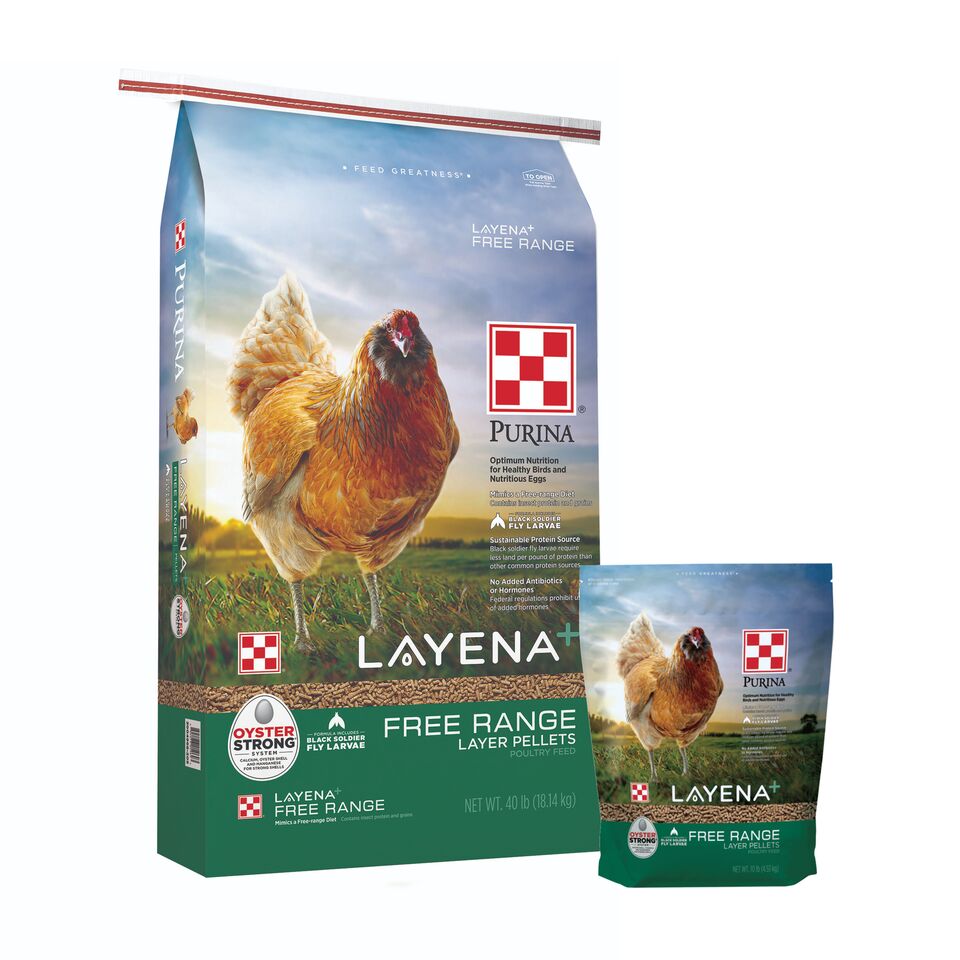 Purina® Layena®+ Free Range Layer Feed is a great option to provide all 38 unique nutrients your birds need. 