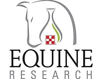 SG-Logo