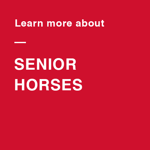 Greatness never ages. Learn more about senior horses.