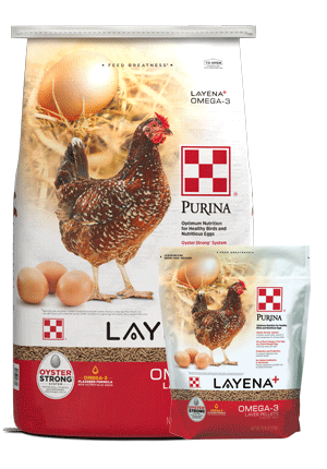 Layena+ Omega 3