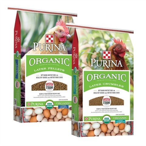 Purina® Organic layer feed now includes the exclusive Oyster Strong® System.