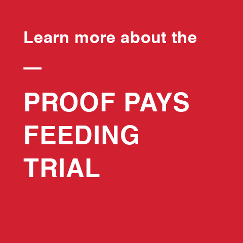 Image for Featured proof pays Feed Trial