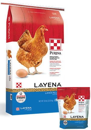 Layena® High Protein Chicken Feed Pellets | Purina Layena® High Protein Chicken Feed Pellets | Purina