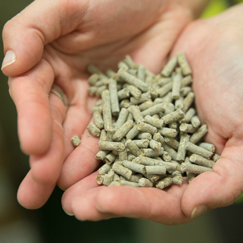 pelleted feed efficiency