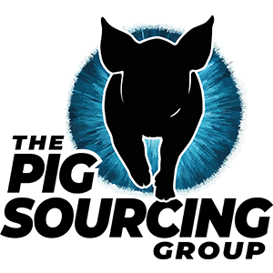 Pig Sourcing logo showing a black pig, blue starburst and black pig sourcing font.