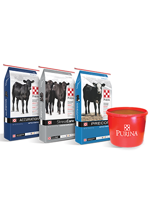 Purina_Cattle-Starters-RX3-Group