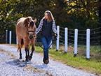 buyer-img
