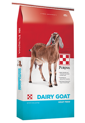 Purina® Dairy Goat Parlor 16